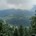Kashmir Tour Mart
