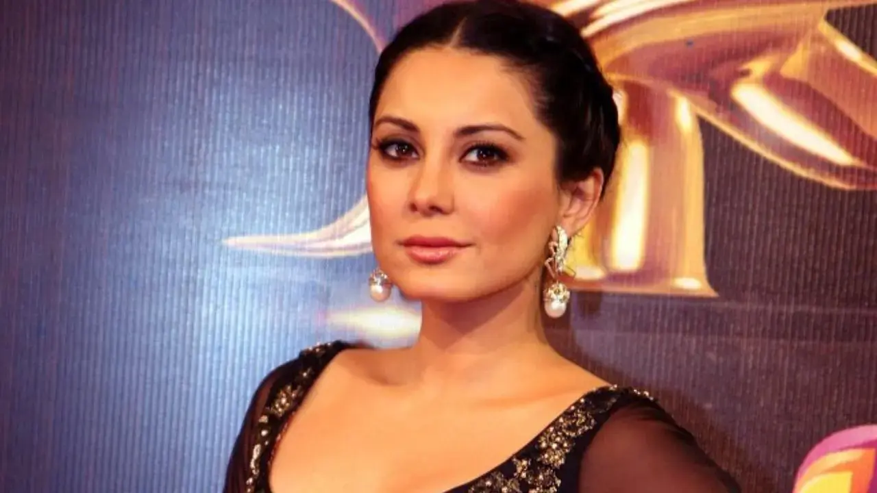 Minissha Lamba Latest News: Age, Movies, Husband, Career Status and Life Update 2026